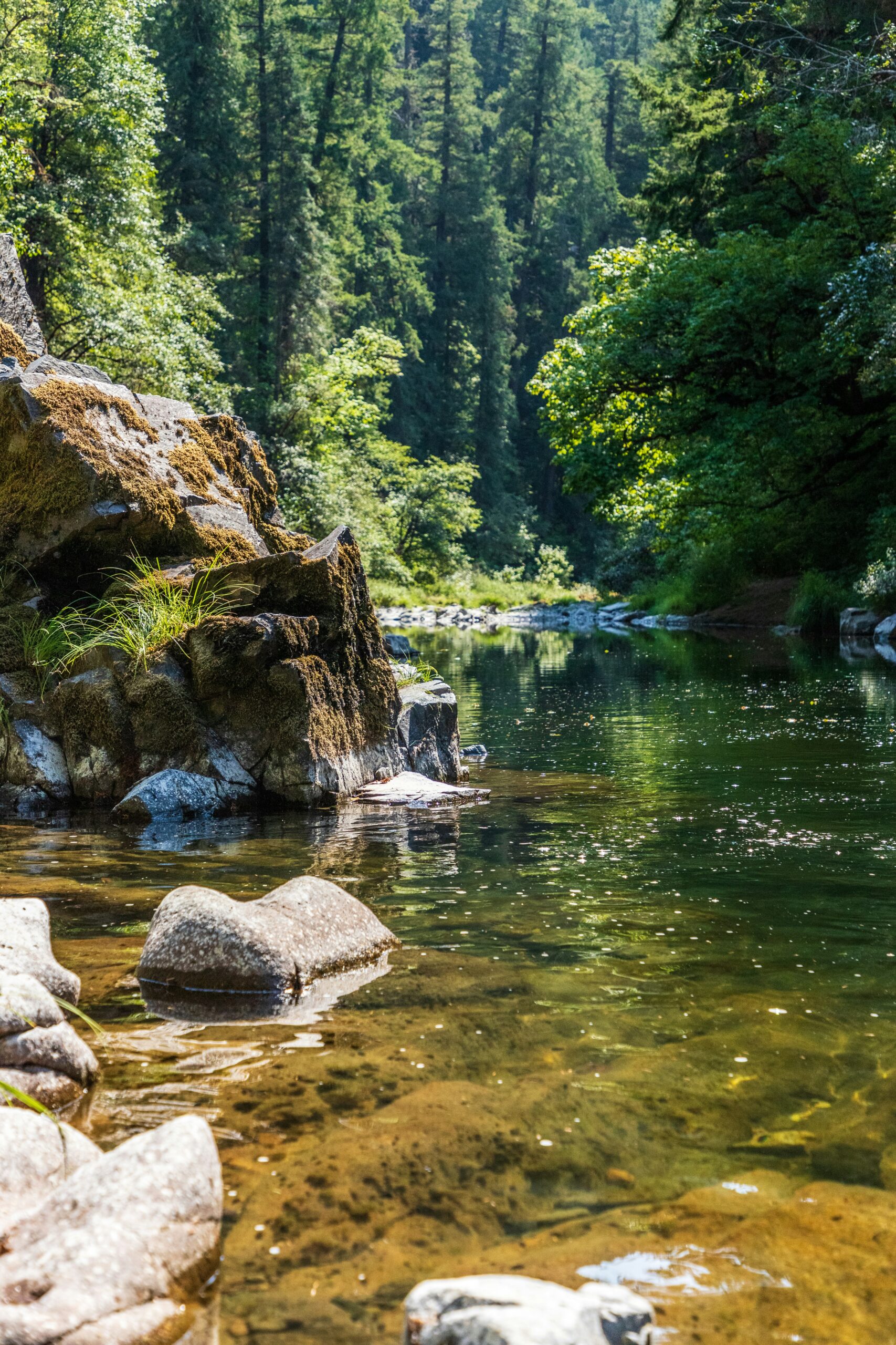 Pristine Streams